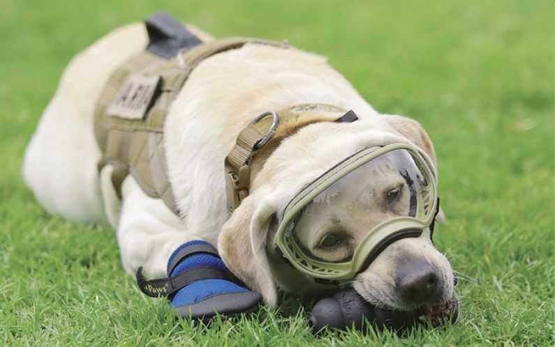 ¿Por qué ‘Frida’ usa goggles y ‘zapatos’? - sucesores-frida2