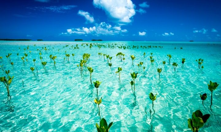 Este es el país menos visitado del mundo - tuvalu