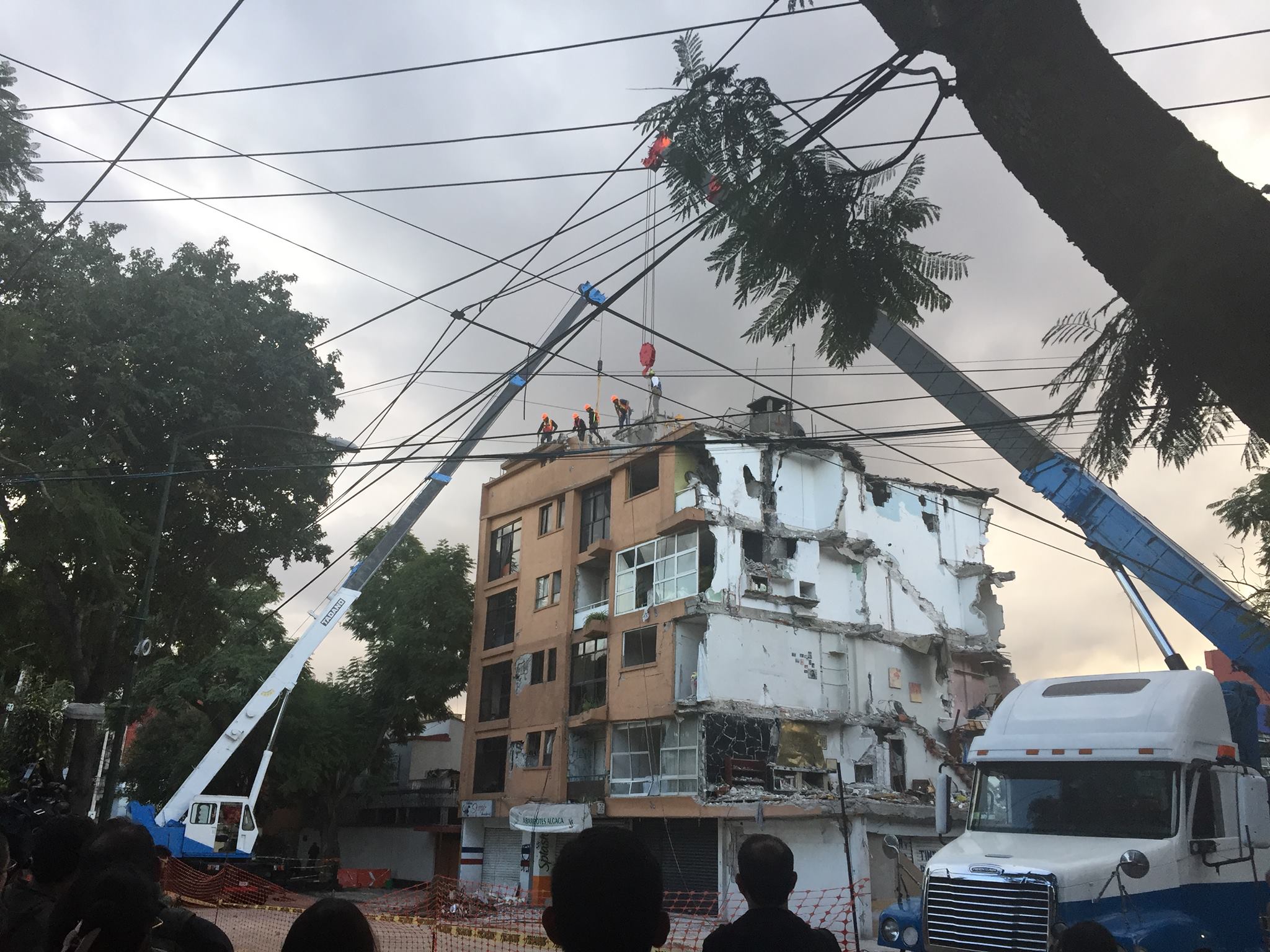 Tras 23 días atrapada, rescatan a gata de edificio a punto de ser demolido - 22384124_1505857116198429_8926339540168282222_o