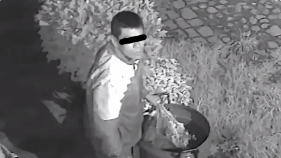 Ladrón roba cinco veces casa en San Ángel