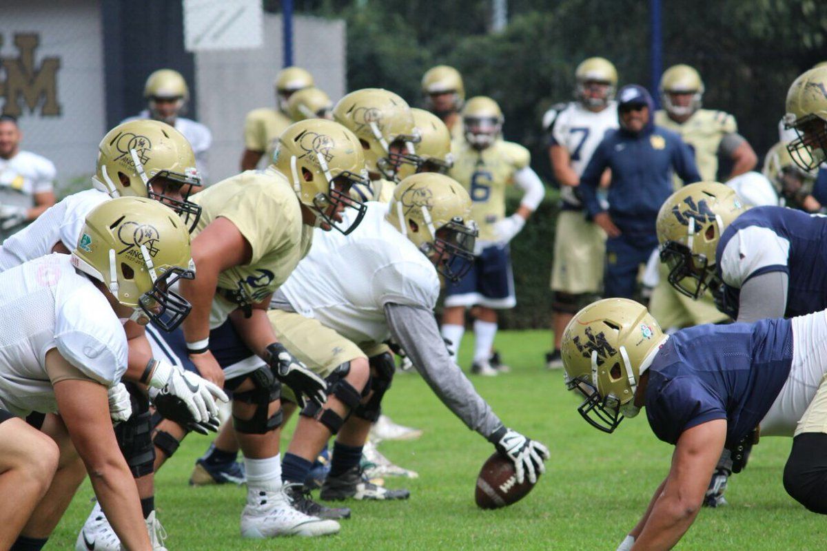 Diputada local plantea prohibir futbol americano a menores de 12 años Diputada local plantea prohibir futbol americano a menores de 12 años