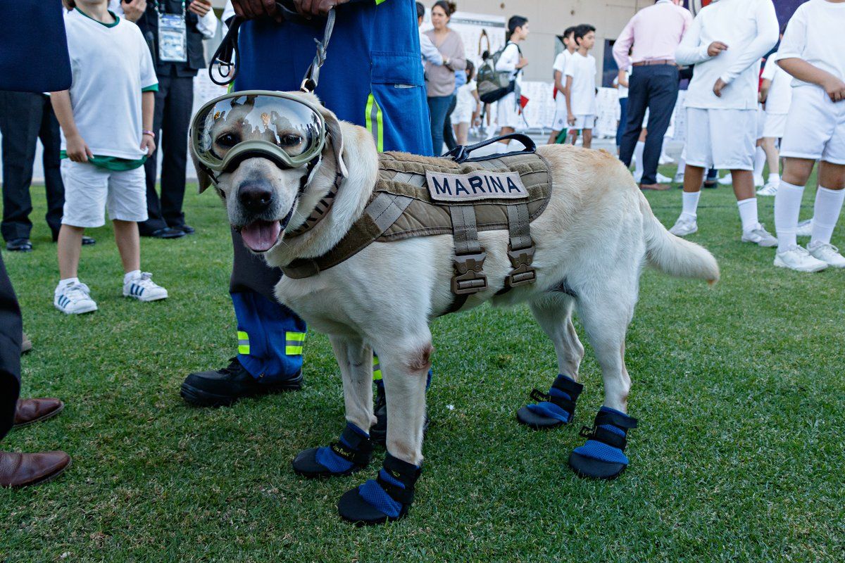 ¿Por qué ‘Frida’ usa goggles y ‘zapatos’?