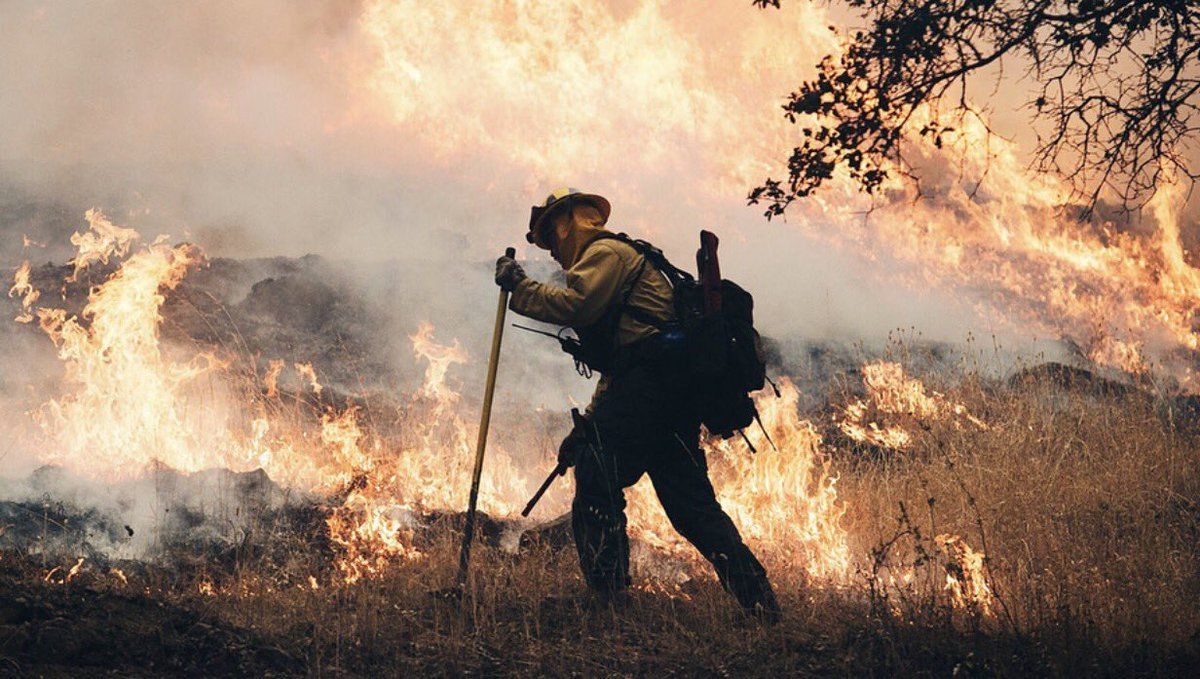 Incendios en zona vinícola de Californa dejan al menos 10 muertos - Incendios-California-2