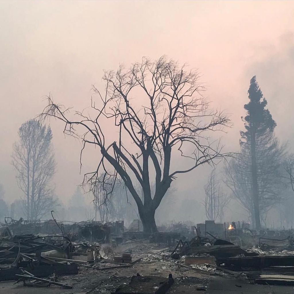 Incendios en zona vinícola de Californa dejan al menos 10 muertos - Incendios-California