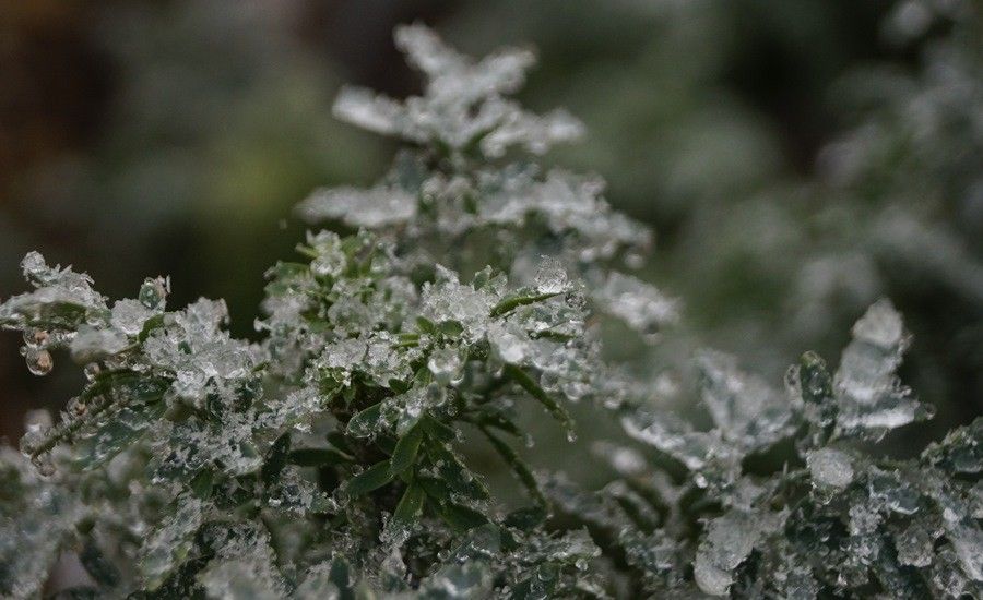 Se extiende frente frío por Golfo de México y Península de Yucatán - agua_nieve