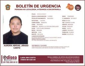 Descubren restos de familia desaparecida en Tultepec - aurora