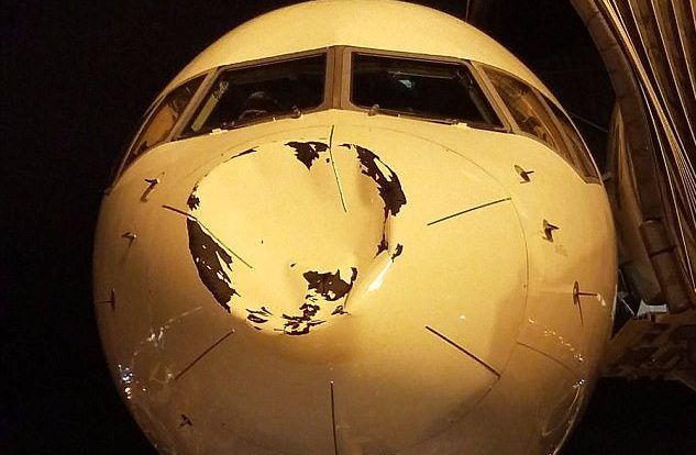 Avión que trasladaba a Oklahoma Thunder choca con pájaro en pleno vuelo