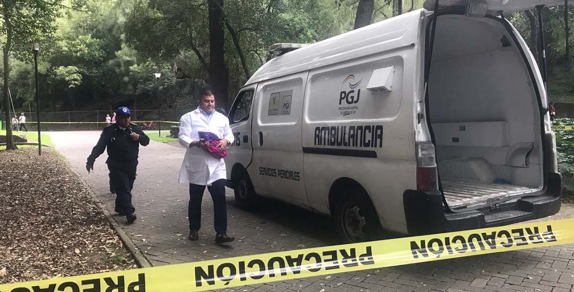 Siguen sin identificar a bebé abandonada en Bosque de Chapultepec