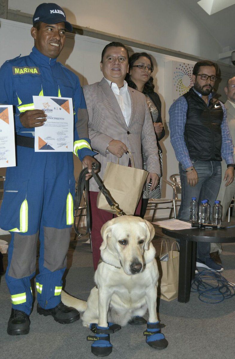 Asamblea Legislativa reconoce labor de binomios y rescatistas - binomios