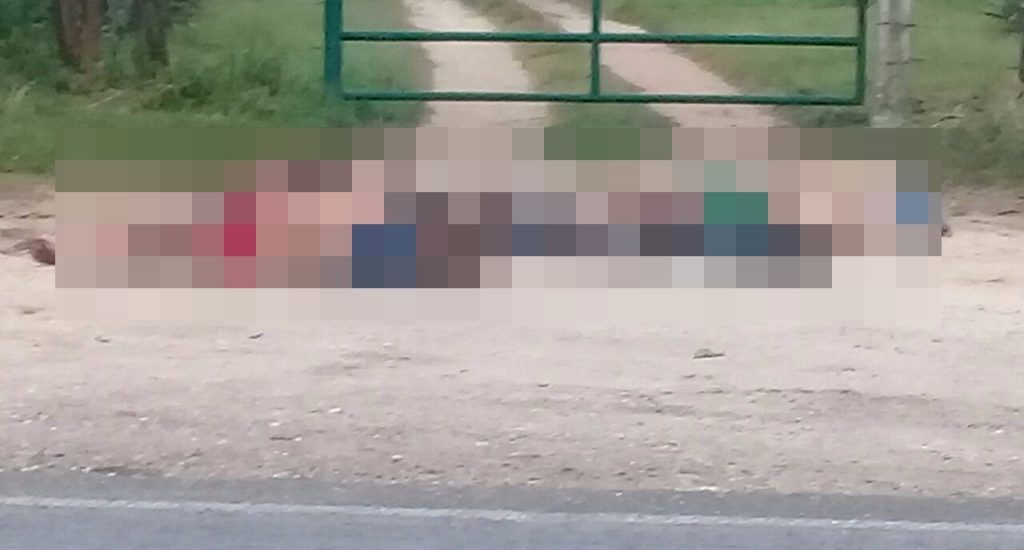 Encuentran seis cadáveres en carretera de Oaxaca - cadaveres-oaxaca2-1024x550