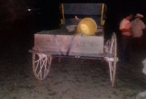 Enjambre de abejas ataca a familia en Nuevo León