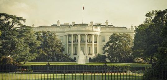 Detienen a hombre disfrazado de Pikachu por saltar cerca de Casa Blanca