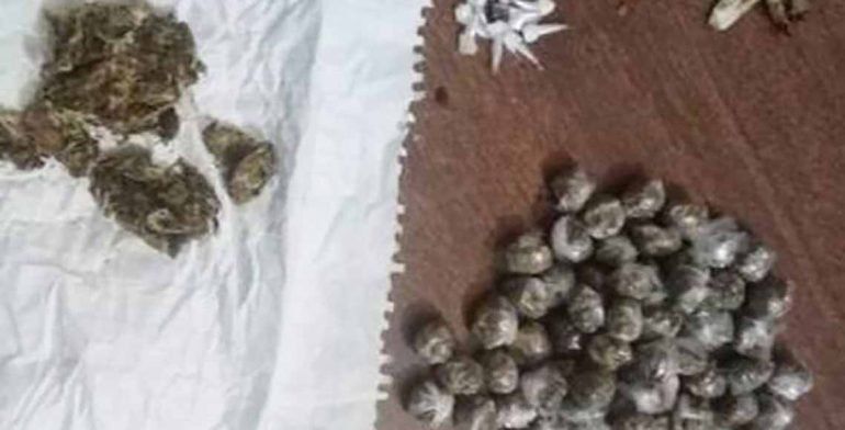 Decomisan drogas y celulares en penales de Oaxaca