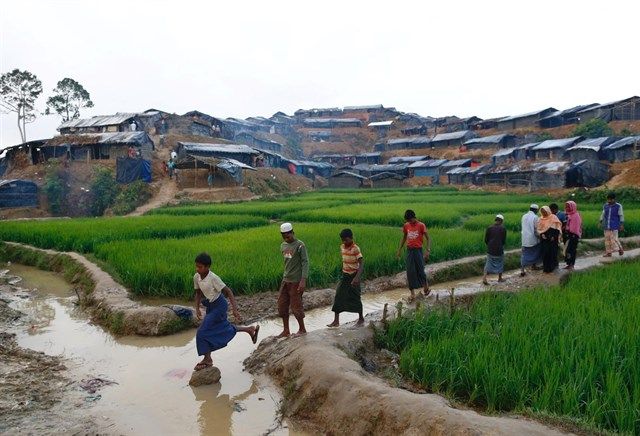 Elefantes matan a refugiados rohingya en campamento en Bangladesh - elefante-campamento