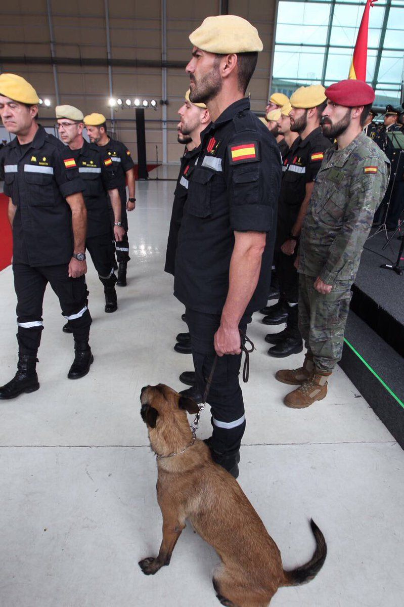 Despiden a rescatistas españoles - españa-2
