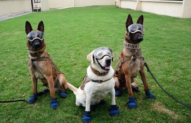 Frida recibe a decenas de familias en la instalaciones de la SEMAR