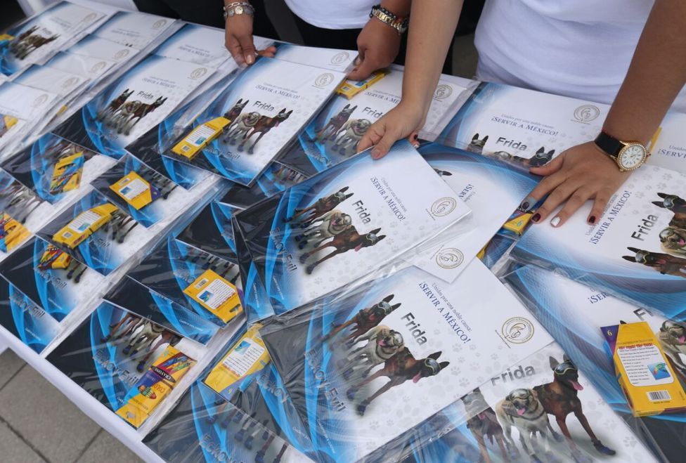 Frida recibe a decenas de familias en la instalaciones de la SEMAR - frida-4