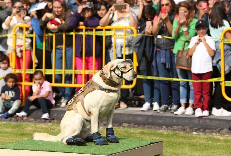 Frida recibe a decenas de familias en la instalaciones de la SEMAR - frida