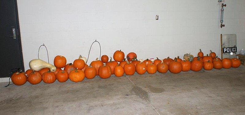 Detienen a tres jóvenes por robo de calabazas de Halloween - halloweeen-pumpkins