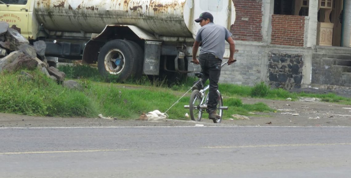 Captan a comunero arrastrando a perro muerto en Michoacán - hdp-1