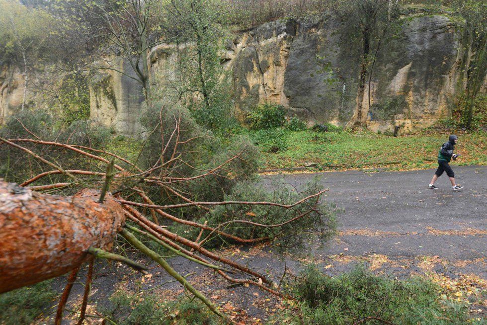 Van siete muertos por tormenta Herwart en Europa Central - herwart-republica-checa