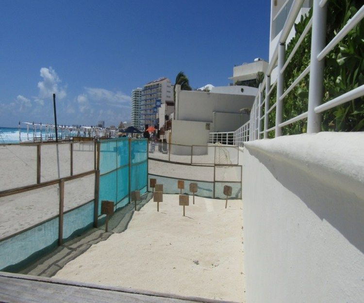 Sancionan a hotel de Cancún por manejo no autorizado de tortugas - hotel-crystal