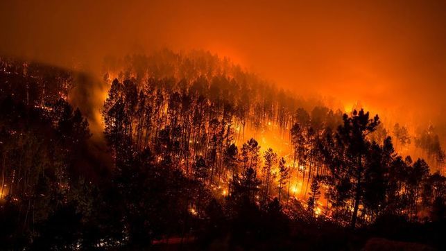 Van 35 muertos y 51 heridos por incendios en Portugal