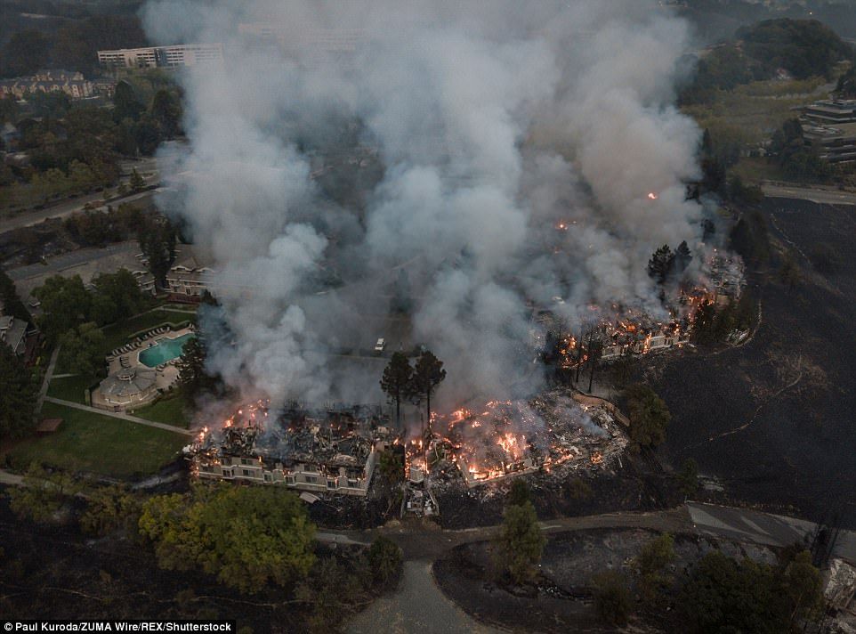 Incendios forestales dejan 11 muertos en California - incendios-california-Shutterstock1