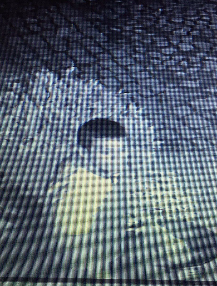 Ladrón roba cinco veces casa en San Ángel - ladron-san-angel2