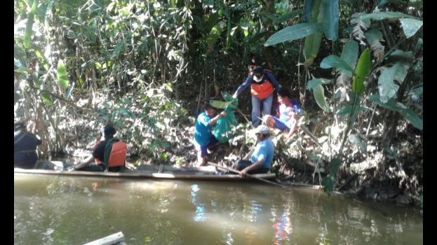 Caimán mata a niño en la selva boliviana - menores-caiman