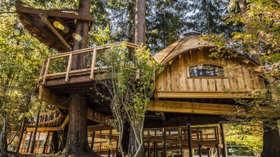 Microsoft construye casas del árbol para sus empleados - microsoft