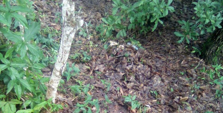 Localizan cadáver de niña de 12 años en Veracruz