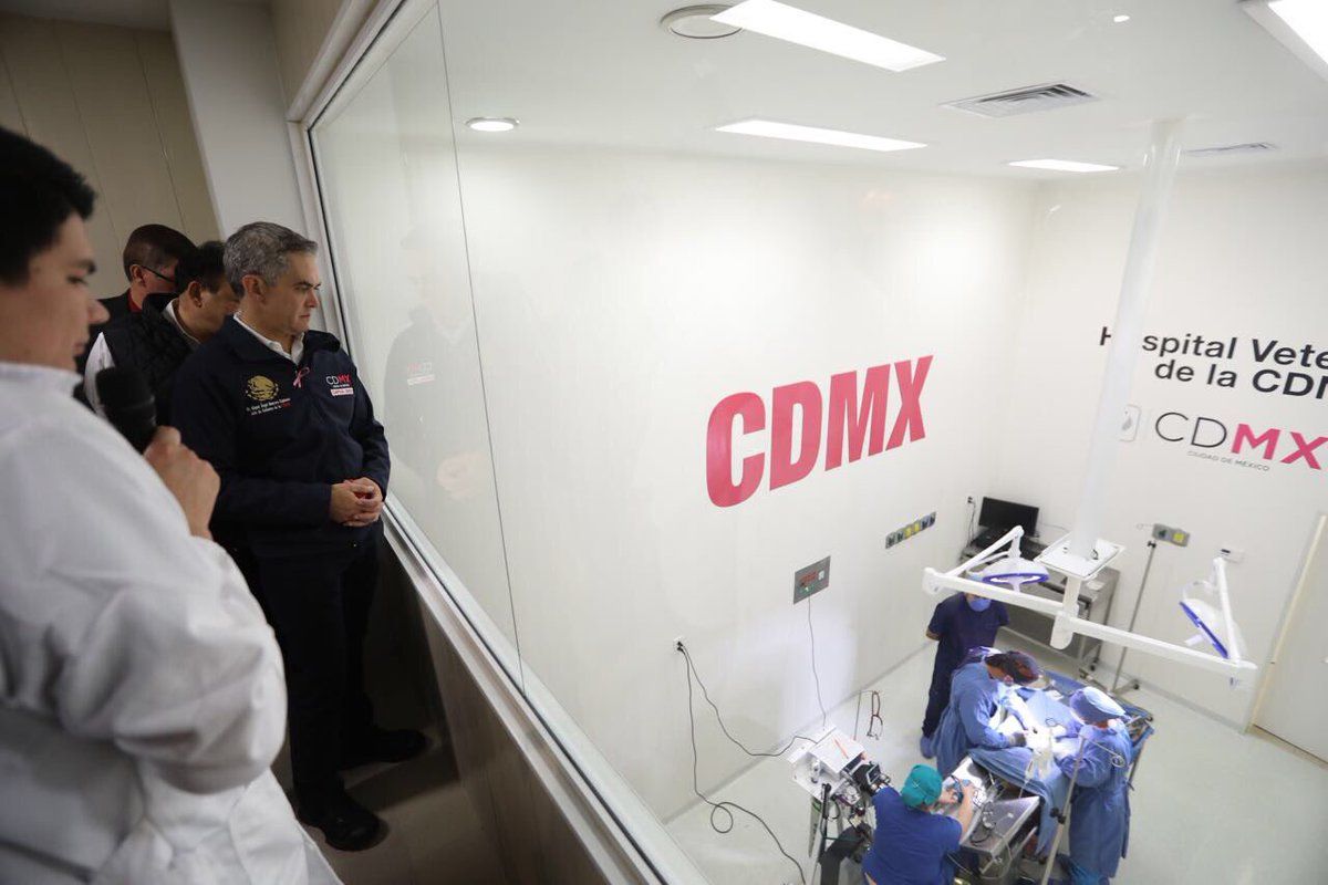 Otorgan certificación al Hospital Veterinario de la Ciudad de México - perritos-1