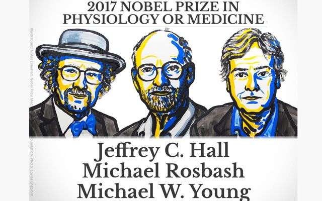 Otorgan Premio Nobel de Medicina a descubridores del reloj biológico - premio-nobel