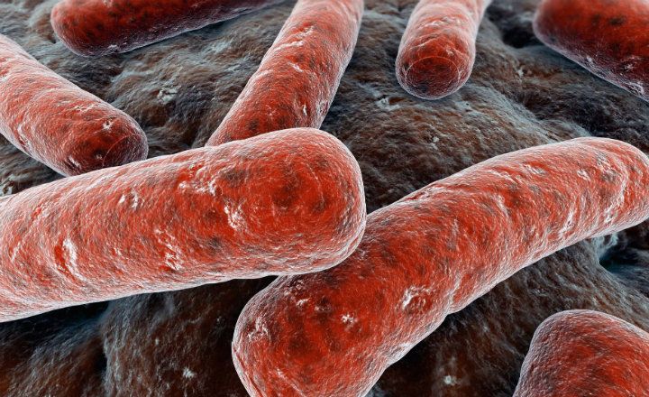 Tuberculosis, la principal causa de muerte infecciosa en el mundo