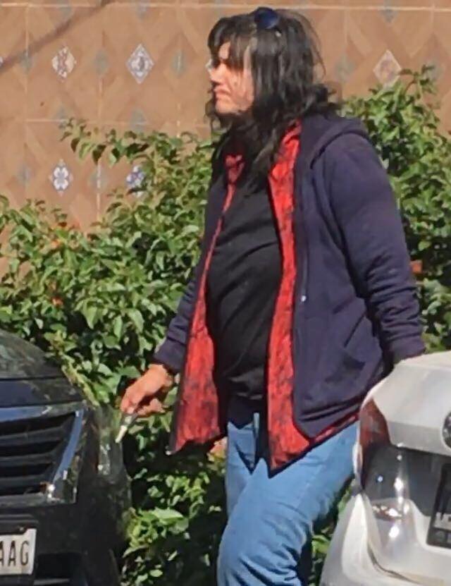 Catean vivienda donde maltrataban animales en la Narvarte - 23231478_1522885557759860_8586768784877018914_n