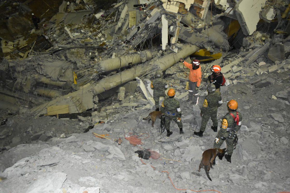 Binomios caninos marcan zona donde estaría mujer desaparecida en Monterrey