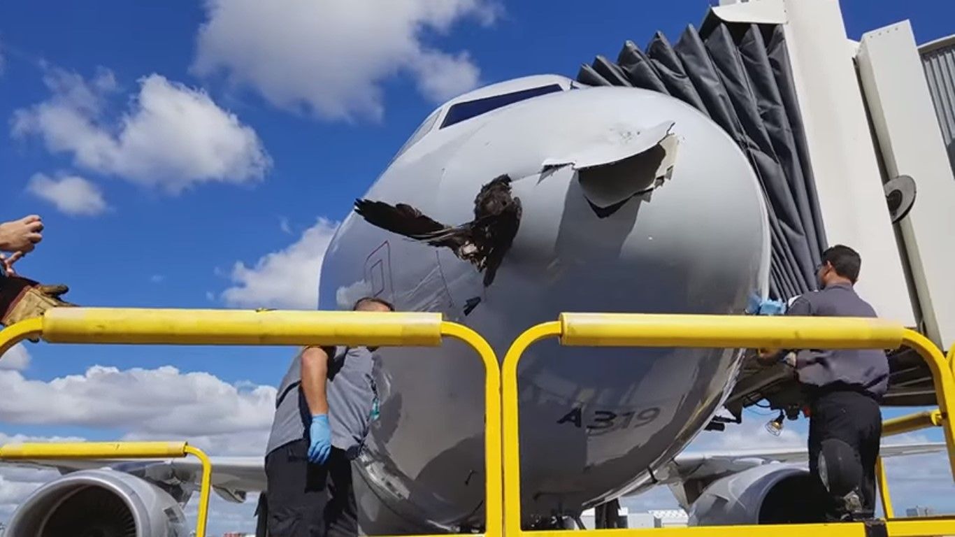 #Video Ave se estrella con nariz de avión tras aterrizar en Florida