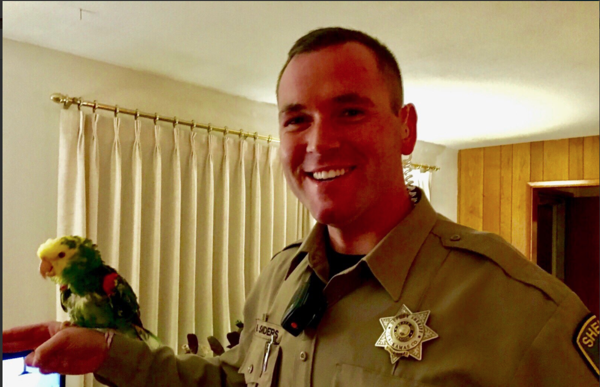 Gritos de perico provocan llamado al 911