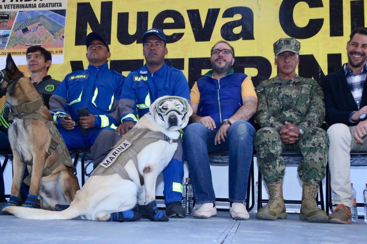 Inician construcción de clínica veterinaria gratuita “Frida” en Coyoacán Inician construcción de clínica veterinaria gratuita “Frida” en Coyoacán