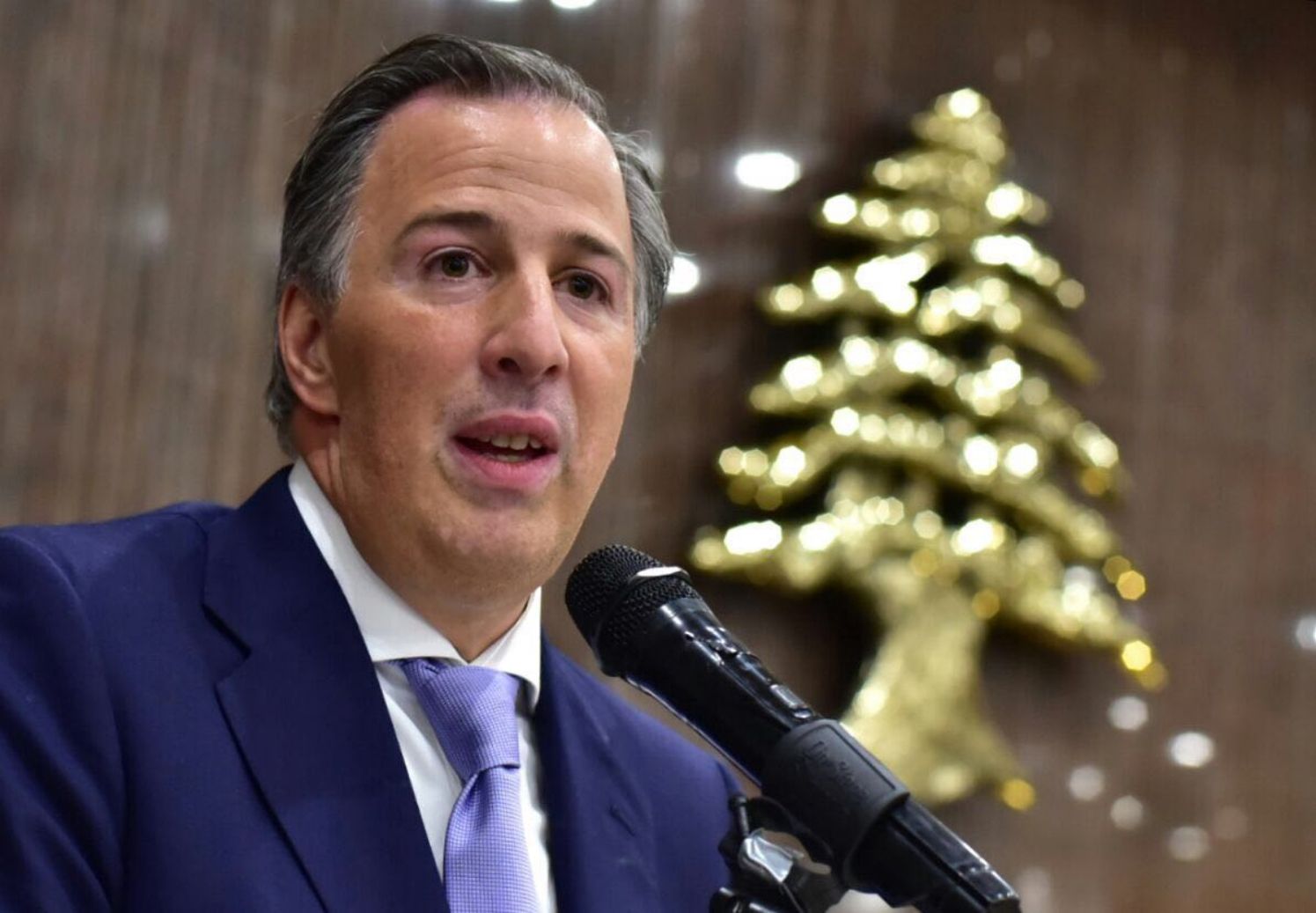 Presupuesto dará señales de cuidado de finanzas públicas: Meade