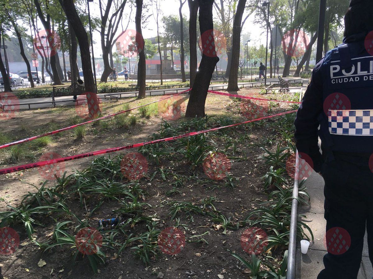 Abandonan feto en parque de la Doctores