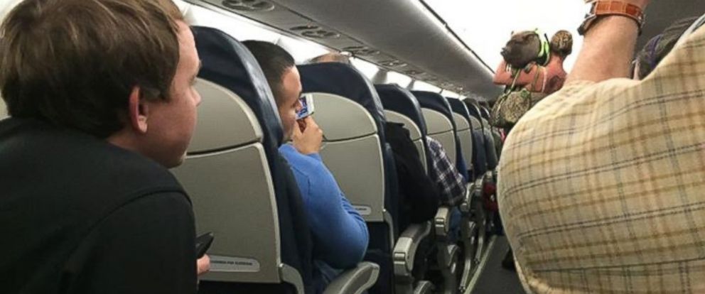 Pasajera intentó volar con cerdo en EE.UU.
