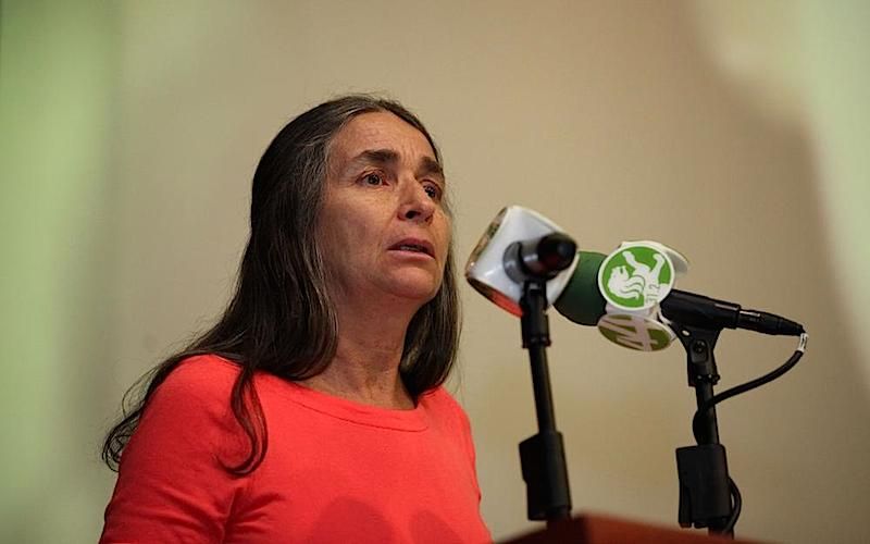 Julia Carabias recibirá mañana la Medalla Belisario Domínguez