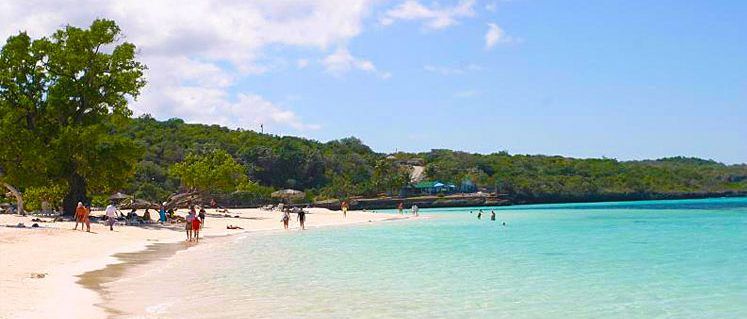 Muere joven por ataque de tiburón en Cuba