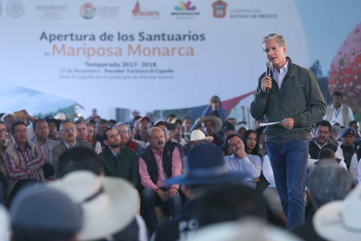Inauguran santuarios de mariposa monarca en el Estado de México