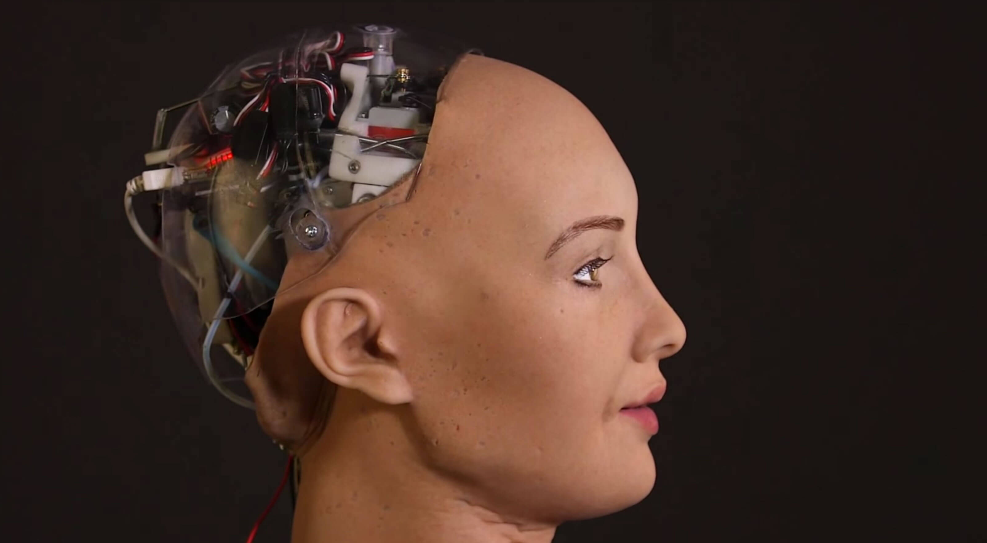 Dan la ciudadanía a una inteligencia artificial en Japón - Sophia-Robot