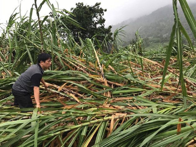 Tifón deja al menos 15 muertos en Vietnam tras tocar tierra - Tifón-Vietnam-3
