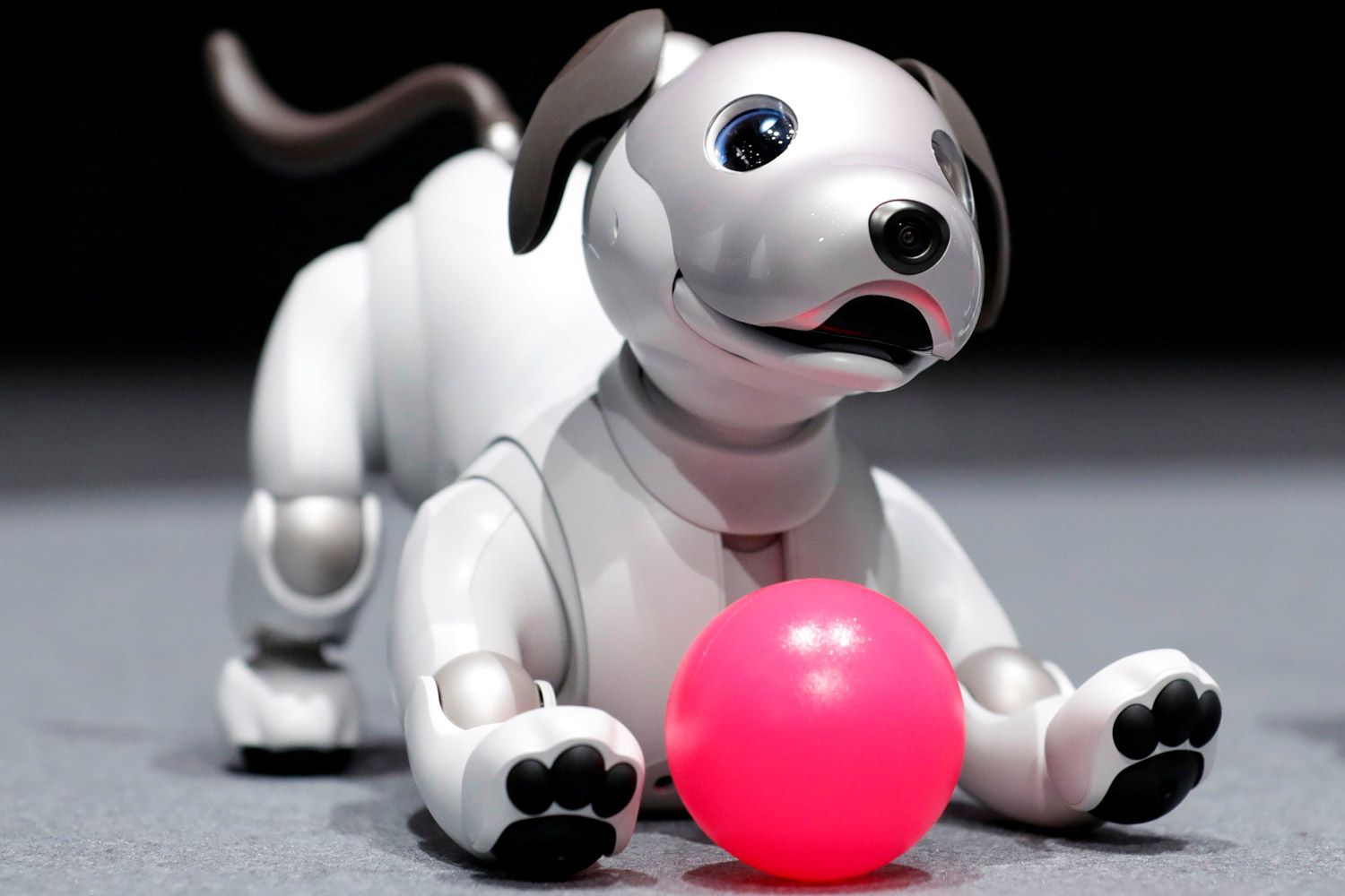 Anuncian nueva versión Aibo