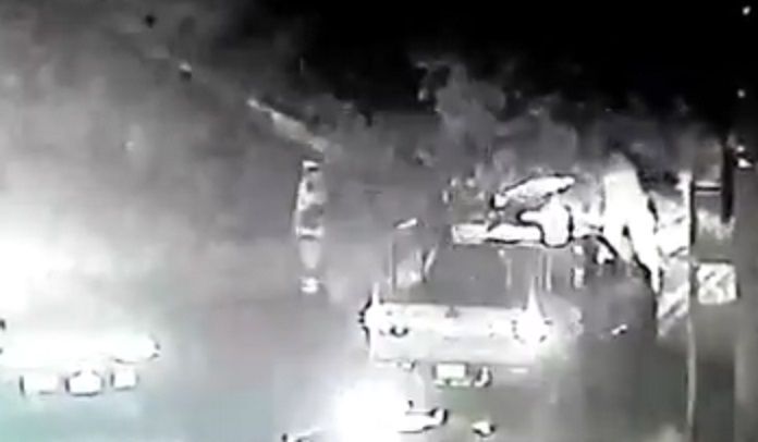 Caída de árbol provoca caos en Calzada de La Viga